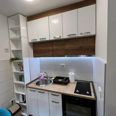 Apartman Irina *